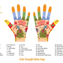 so-do-14-huyet-dao-ban-tay-cach-bam-va-tac-dung-chi-tiet