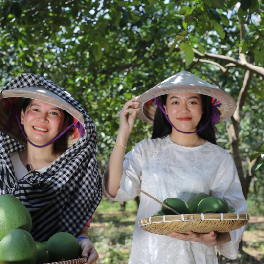 Dầu gội thảo dược Queen