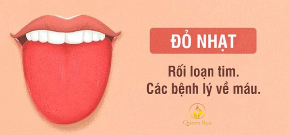 QUEEN SPA