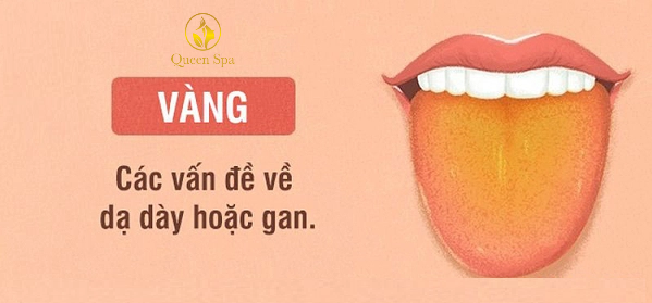 QUEEN SPA